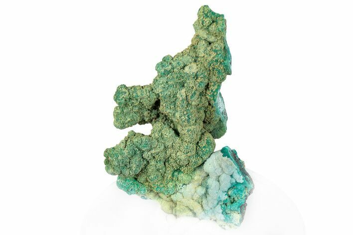 Forest Green Conichalcite on Chrysocolla - Namibia #295904